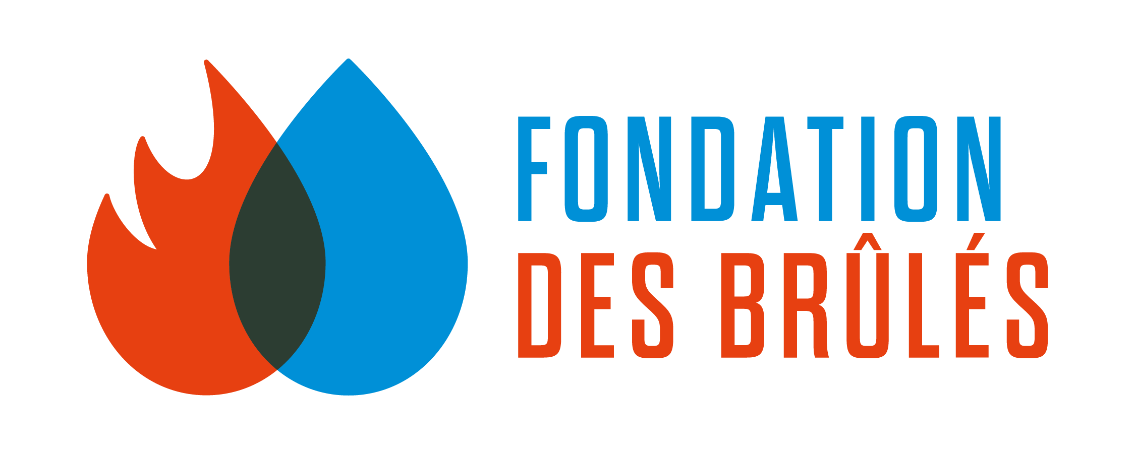 Fondation-des-brules-logo