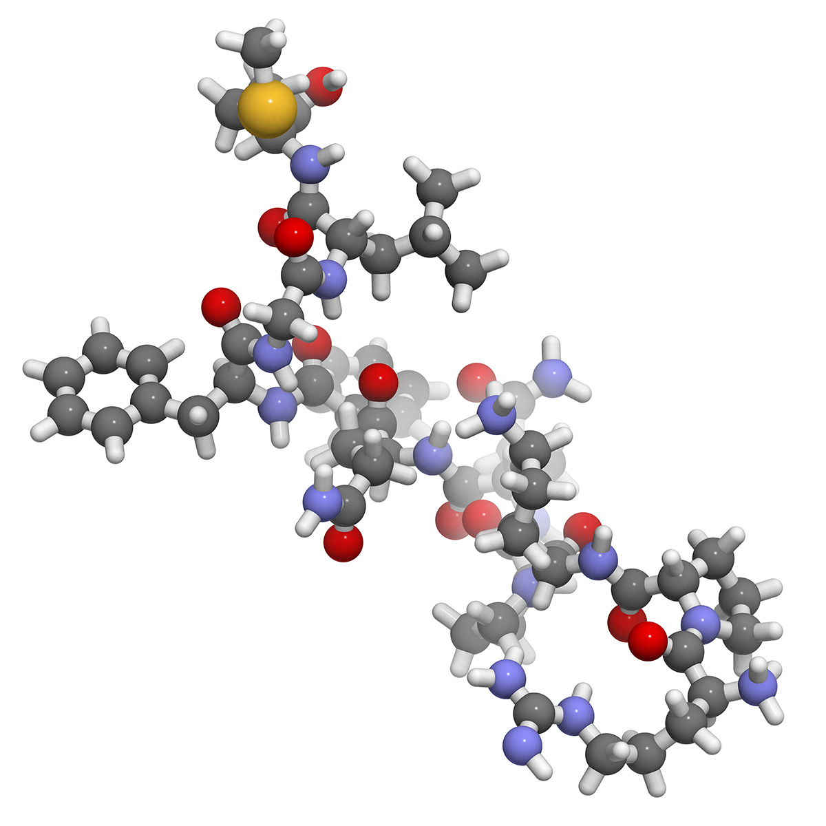peptide-substance-p peptide-substance-p